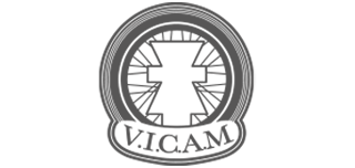 logo vicam